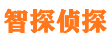 武汉外遇调查取证